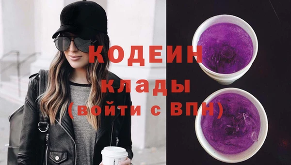 спиды Гусев