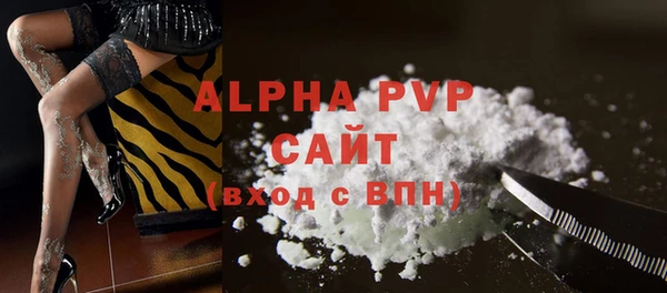 спиды Гусев