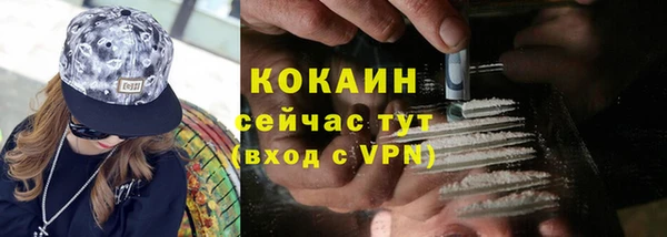 спиды Гусев