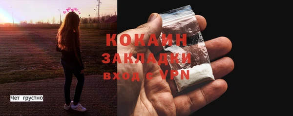 дмт Гусь-Хрустальный