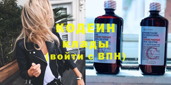 спиды Гусев