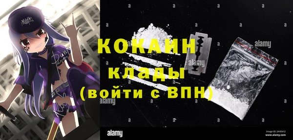 дмт Гусь-Хрустальный