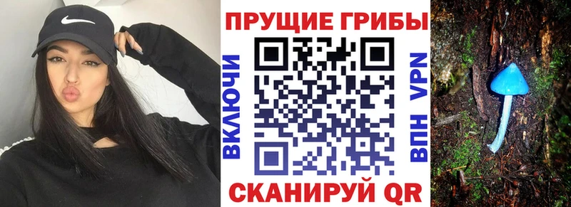 магазин Белый Галлюциногенные грибы Cubensis